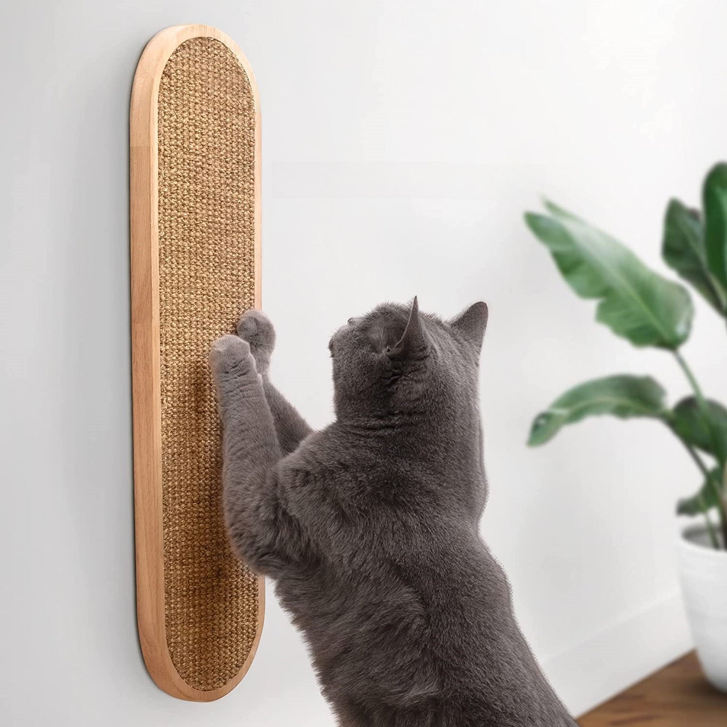 Sisal Bliss Cat Scratching Board 0 Pad & Paw