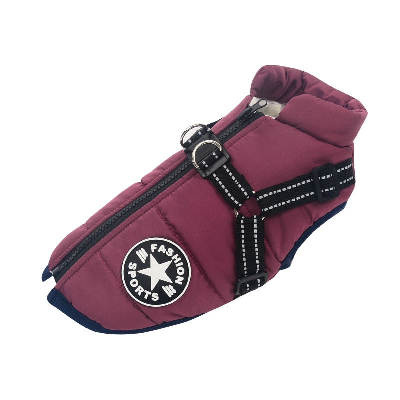 Weatherproof Winter Dog Coat 0 Pad & Paw Purple S