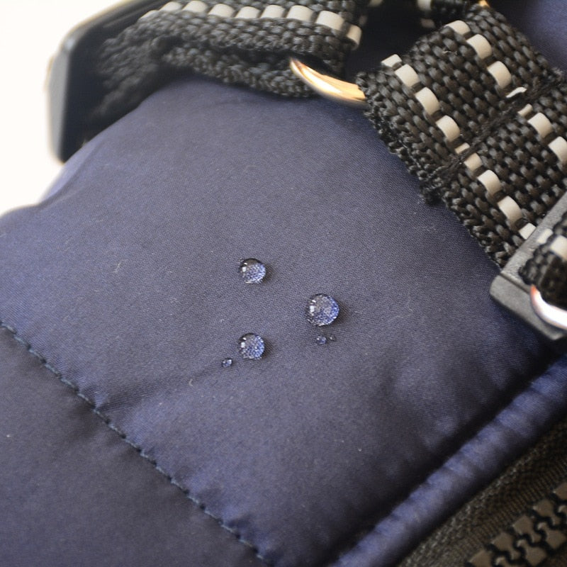 Weatherproof Winter Dog Coat 0 Pad & Paw