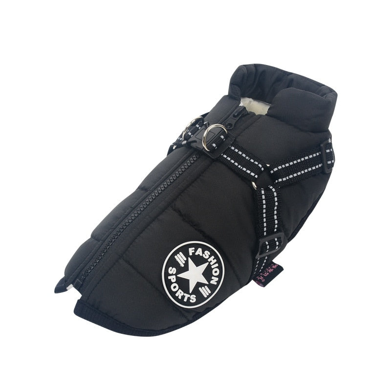 Weatherproof Winter Dog Coat 0 Pad & Paw Black S