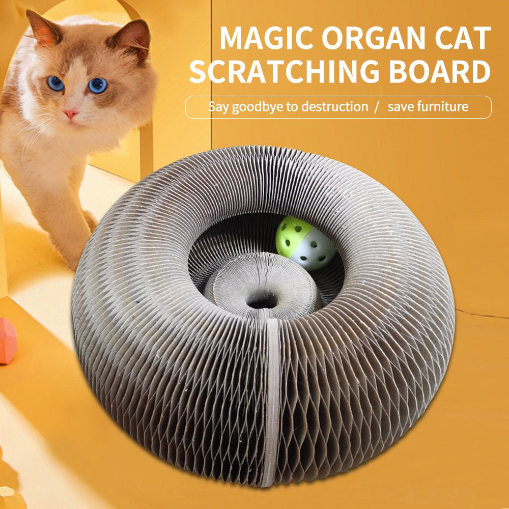 Magic Organ Cat Scratcher 0 Pad & Paw