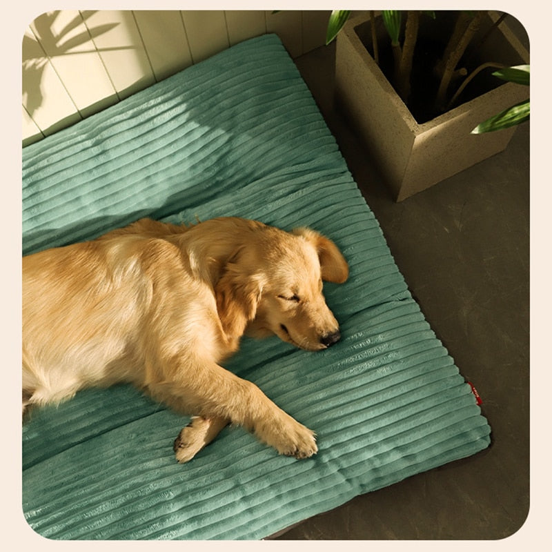 All-Season Dog Bed Pad & Paw