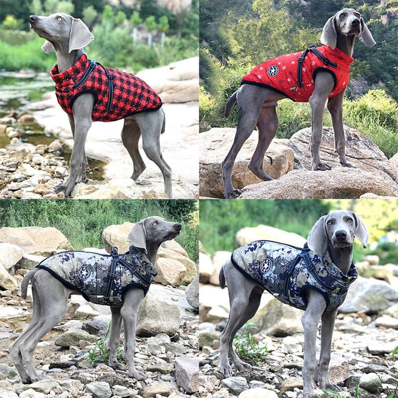 Weatherproof Winter Dog Coat 0 Pad & Paw