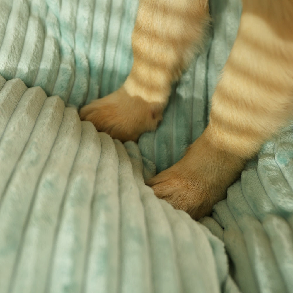 All-Season Dog Bed Pad & Paw