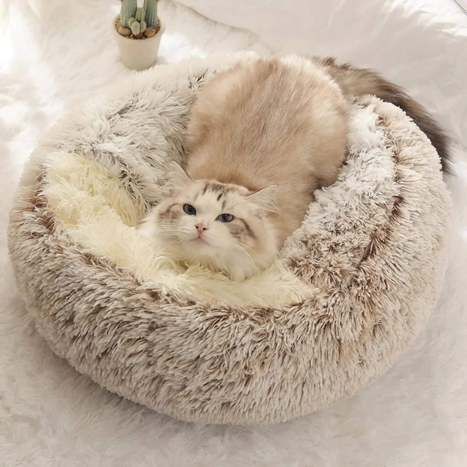 2-in-1 Cozy Cat Bed & Sleeping Bag Pad & Paw 15.5" x 15.5" / 40x40cm Brown
