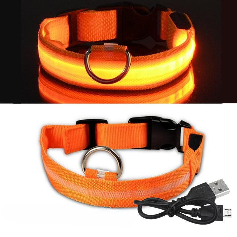 Rechargable LED Safety Dog Collar 0 Pad & Paw   