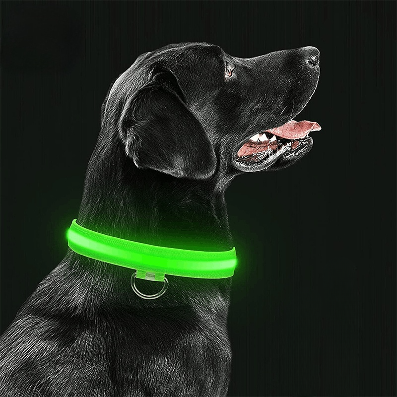 Rechargable LED Safety Dog Collar 0 Pad & Paw   