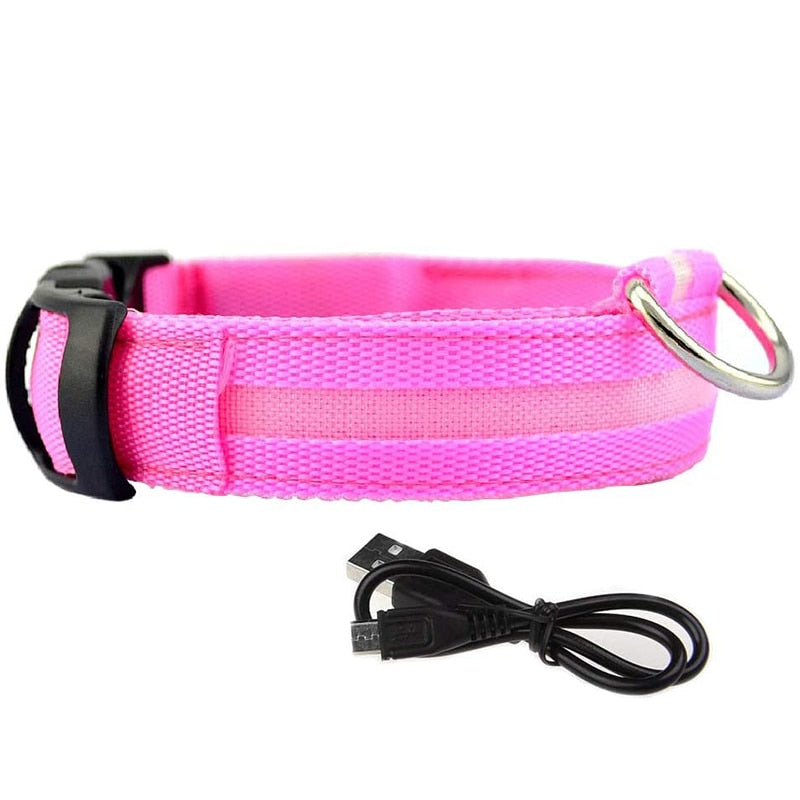 Rechargable LED Safety Dog Collar 0 Pad & Paw Pink XS neck 11" - 15.5" / 28-40cm 