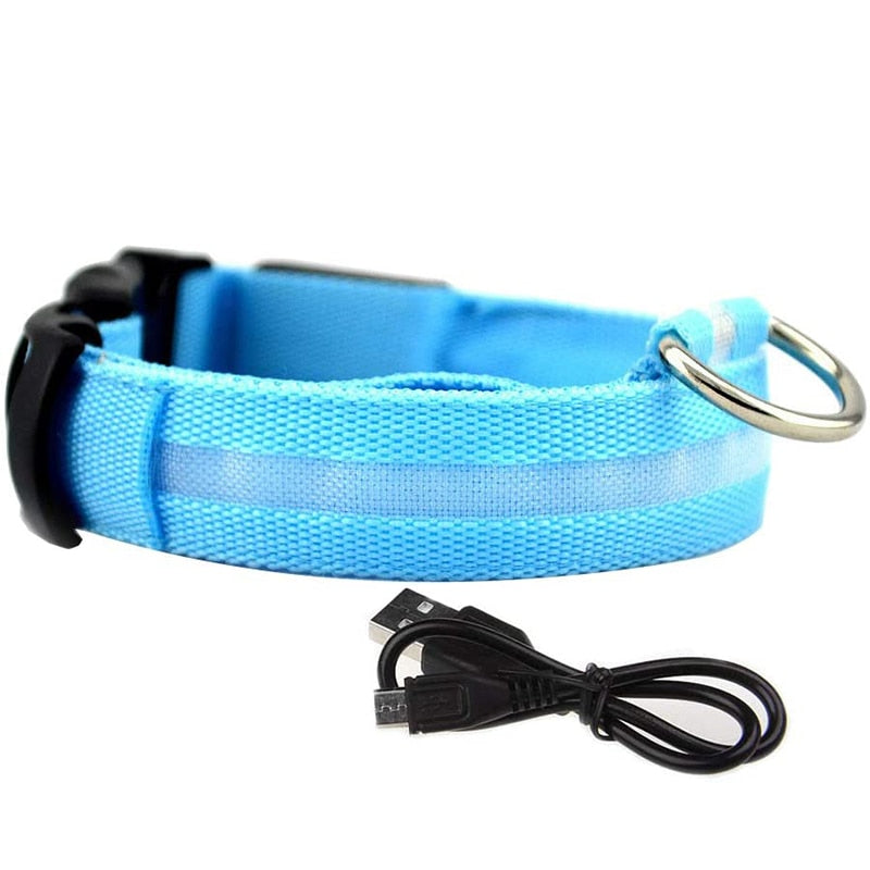 Rechargable LED Safety Dog Collar 0 Pad & Paw Blue XS neck 11" - 15.5" / 28-40cm 