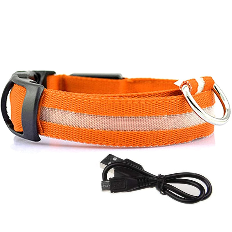 Rechargable LED Safety Dog Collar 0 Pad & Paw Orange XS neck 11" - 15.5" / 28-40cm 