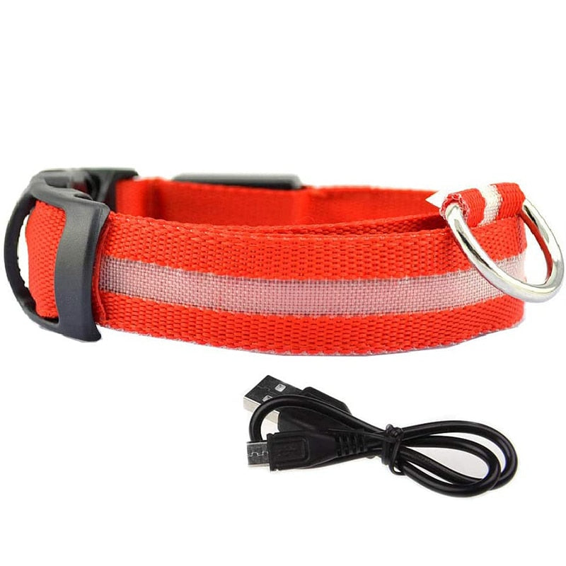 Rechargable LED Safety Dog Collar 0 Pad & Paw Red XS neck 11" - 15.5" / 28-40cm 