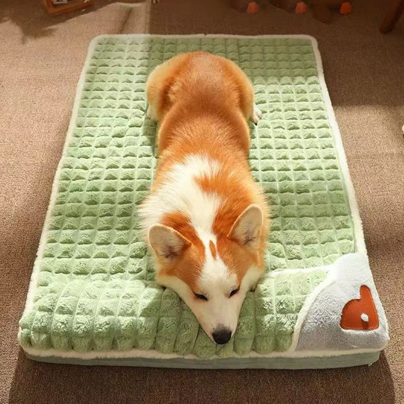 Foam Dog Bed  Pad & Paw   