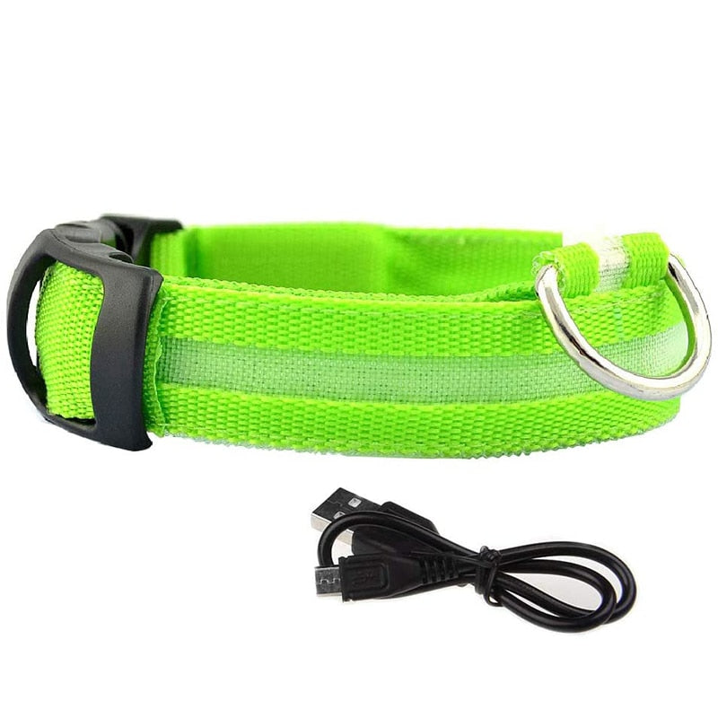 Rechargable LED Safety Dog Collar 0 Pad & Paw Green XS neck 11" - 15.5" / 28-40cm 