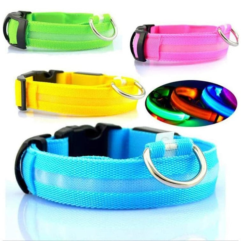 Rechargable LED Safety Dog Collar 0 Pad & Paw   