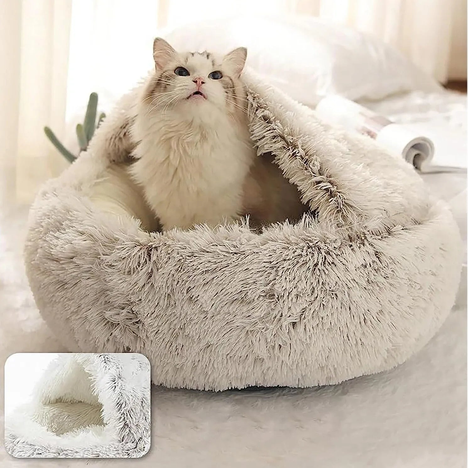 2-in-1 Cozy Cat Bed & Sleeping Bag  Pad & Paw   