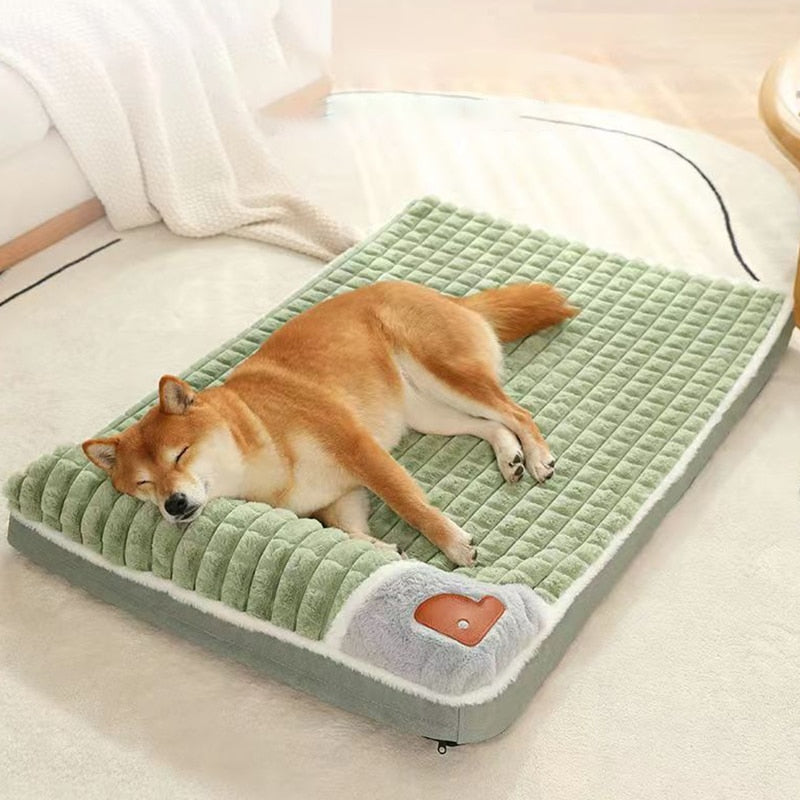 Foam Dog Bed  Pad & Paw   