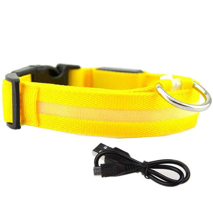 Rechargable LED Safety Dog Collar 0 Pad & Paw Yellow XS neck 11" - 15.5" / 28-40cm 