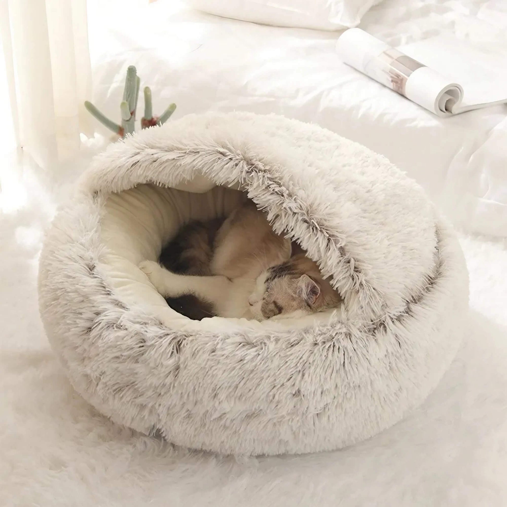 2-in-1 Cozy Cat Bed & Sleeping Bag  Pad & Paw   