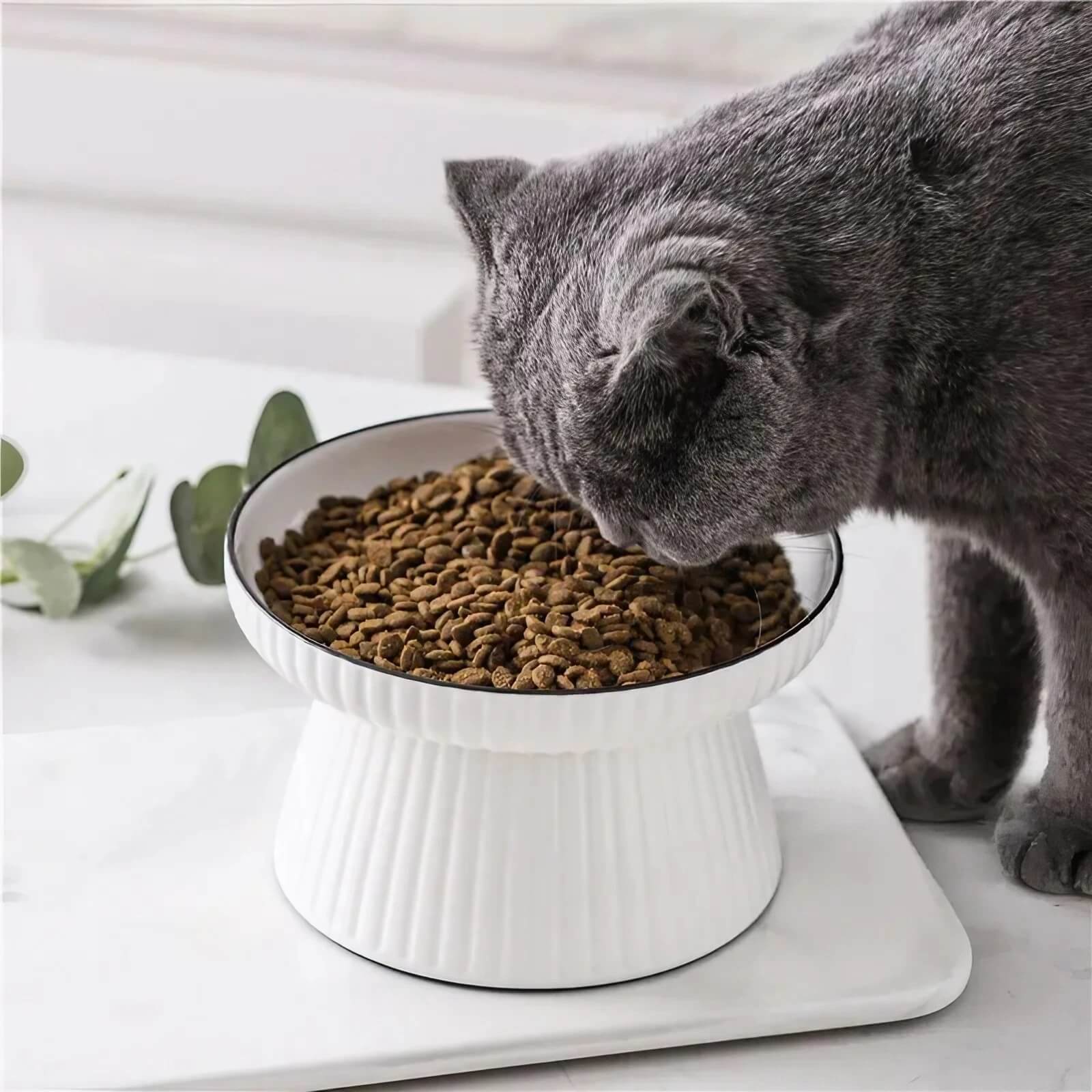 Elevated Chic Ceramic Pet Bowl 0 Pad & Paw   