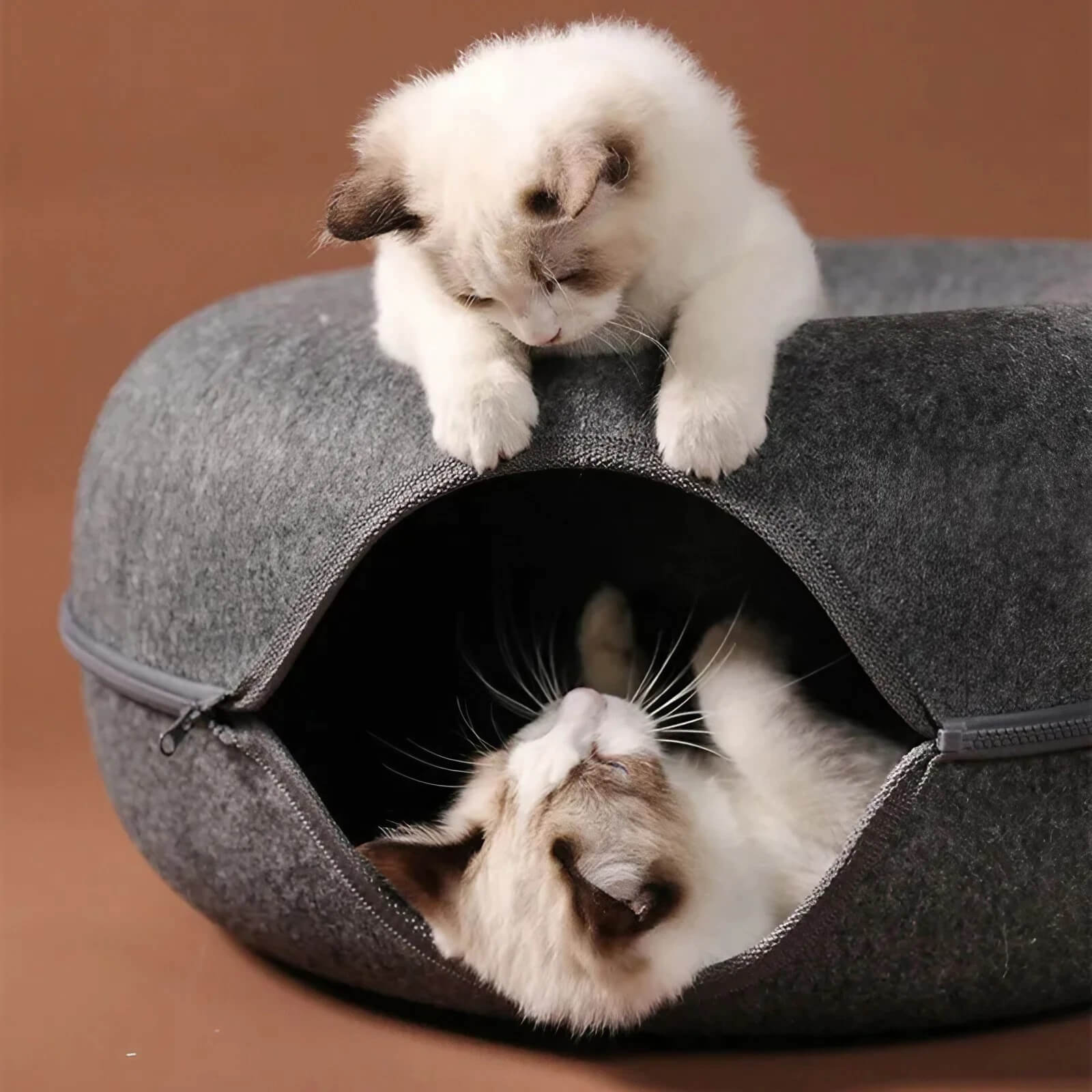 2-in-1 Felt Cat Tunnel & Split Bed 0 Pad & Paw   