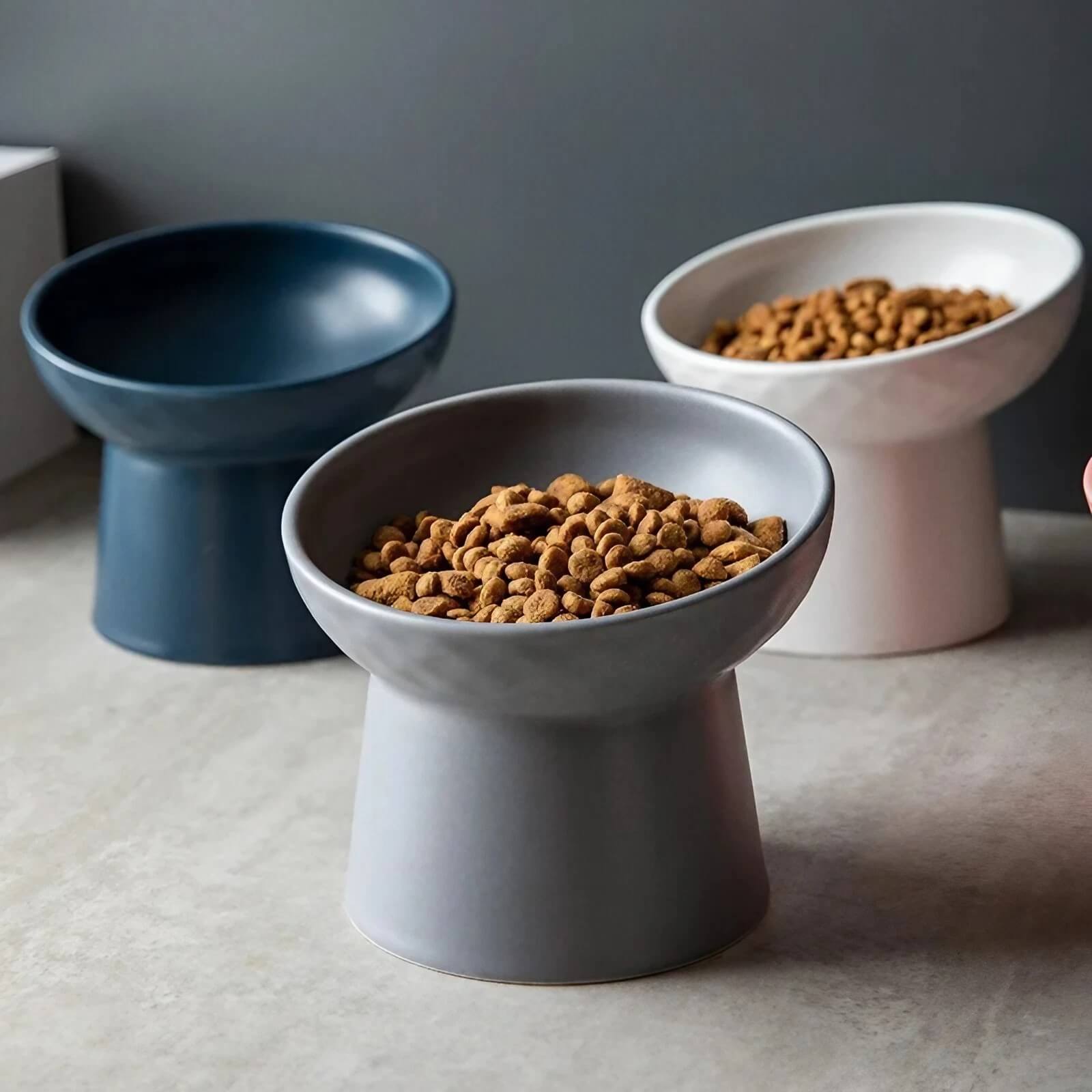Chic Ceramic Feeding Bowl 0 Pad & Paw   