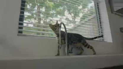 Automatic Cat Water Fountain 0 Pad & Paw